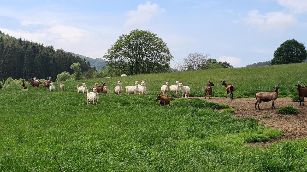 Vakantiehuisje Winterberg Bagian luar foto