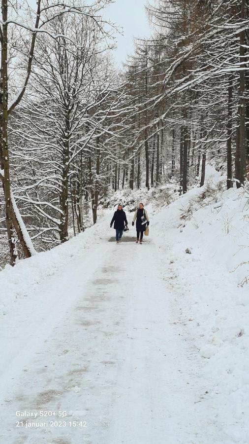 Vakantiehuisje Winterberg Bagian luar foto