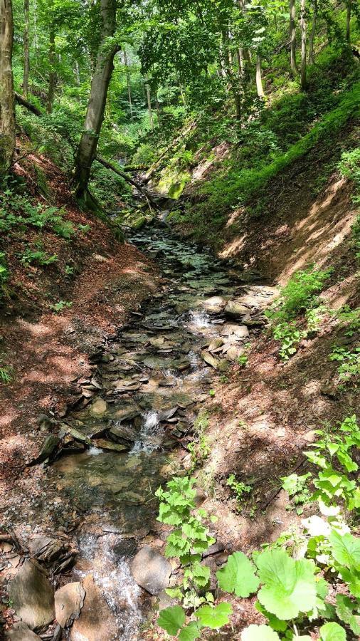 Vakantiehuisje Winterberg Bagian luar foto