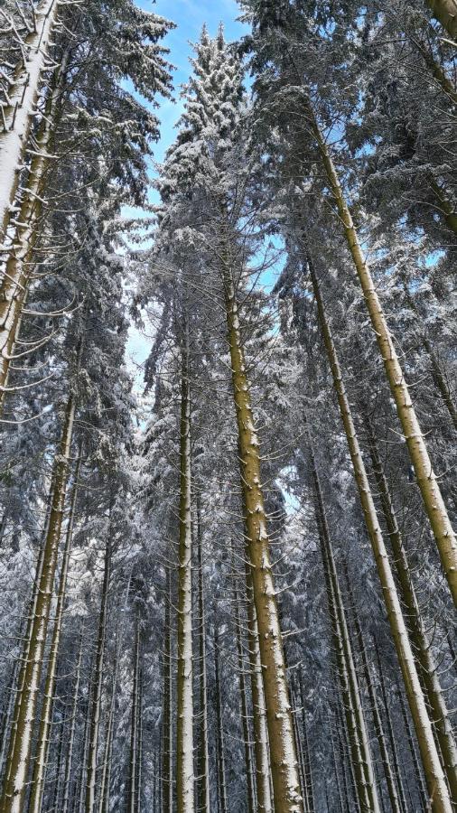 Vakantiehuisje Winterberg Bagian luar foto
