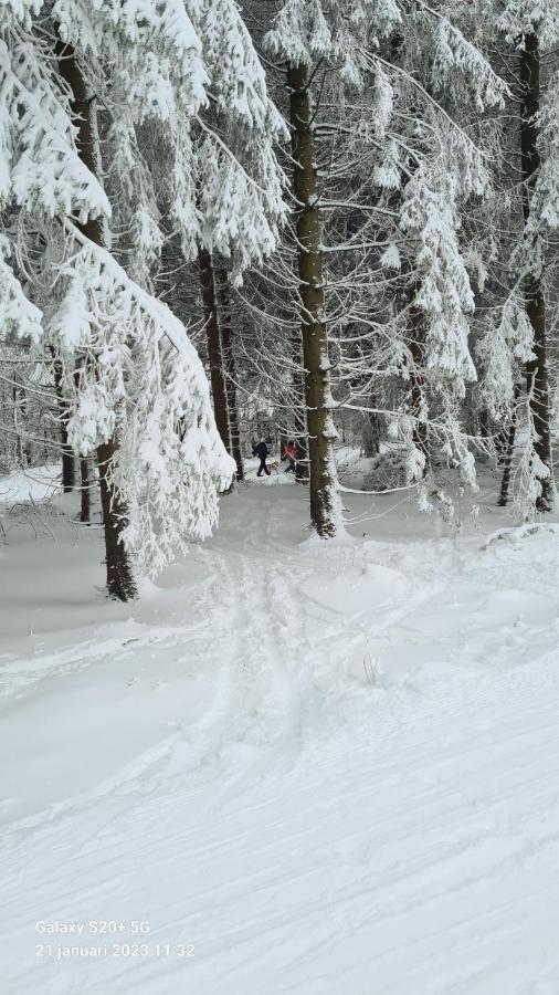 Vakantiehuisje Winterberg Bagian luar foto
