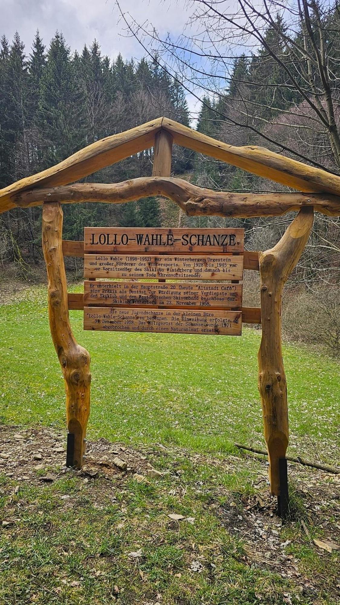 Vakantiehuisje Winterberg Bagian luar foto