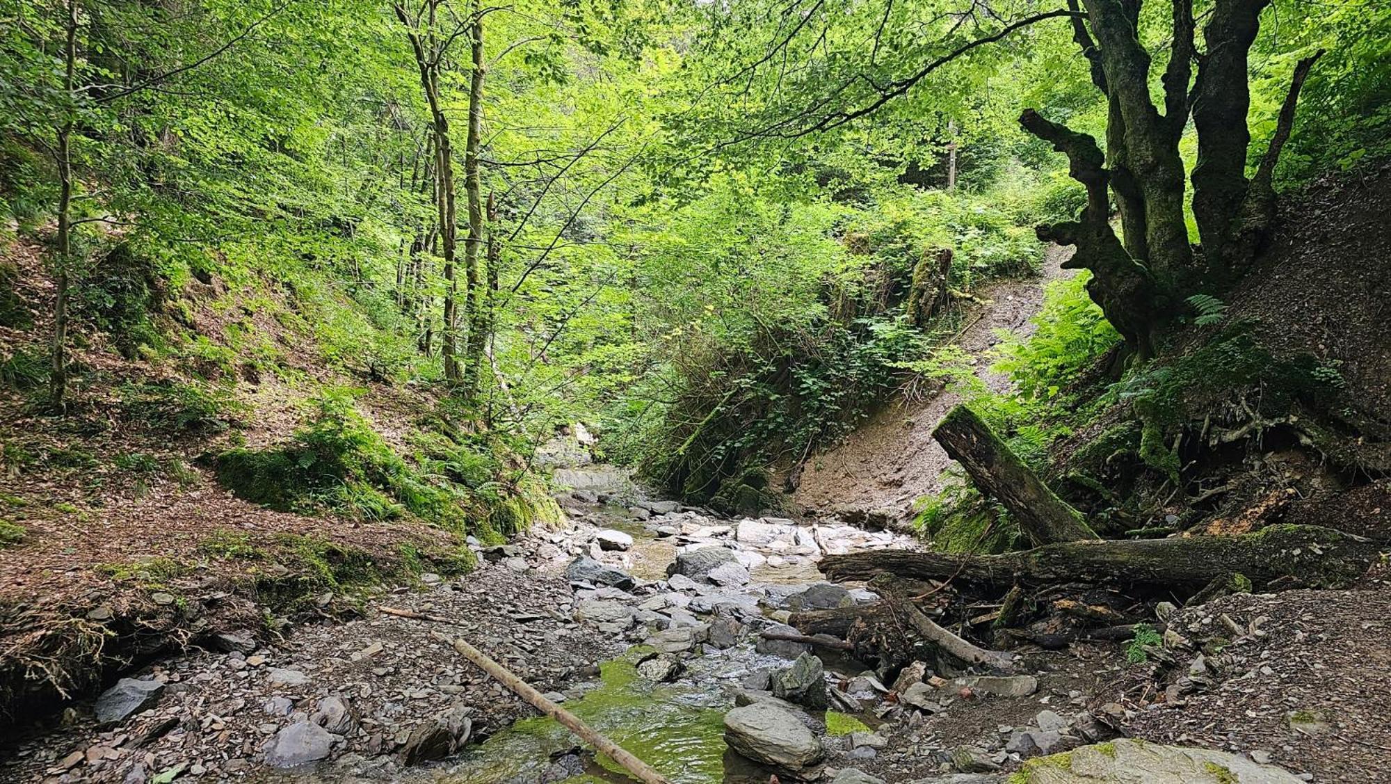 Vakantiehuisje Winterberg Bagian luar foto