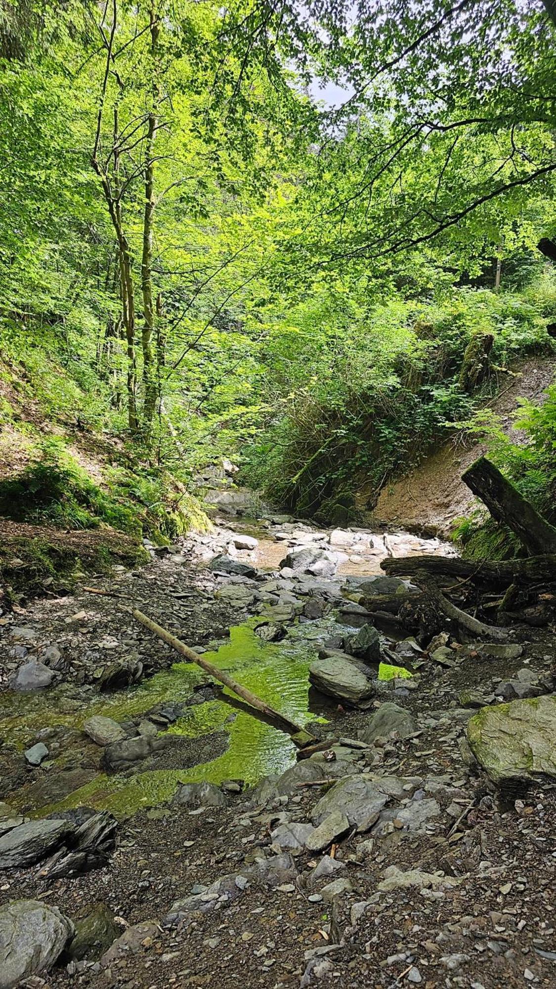 Vakantiehuisje Winterberg Bagian luar foto