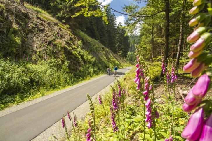 Vakantiehuisje Winterberg Bagian luar foto